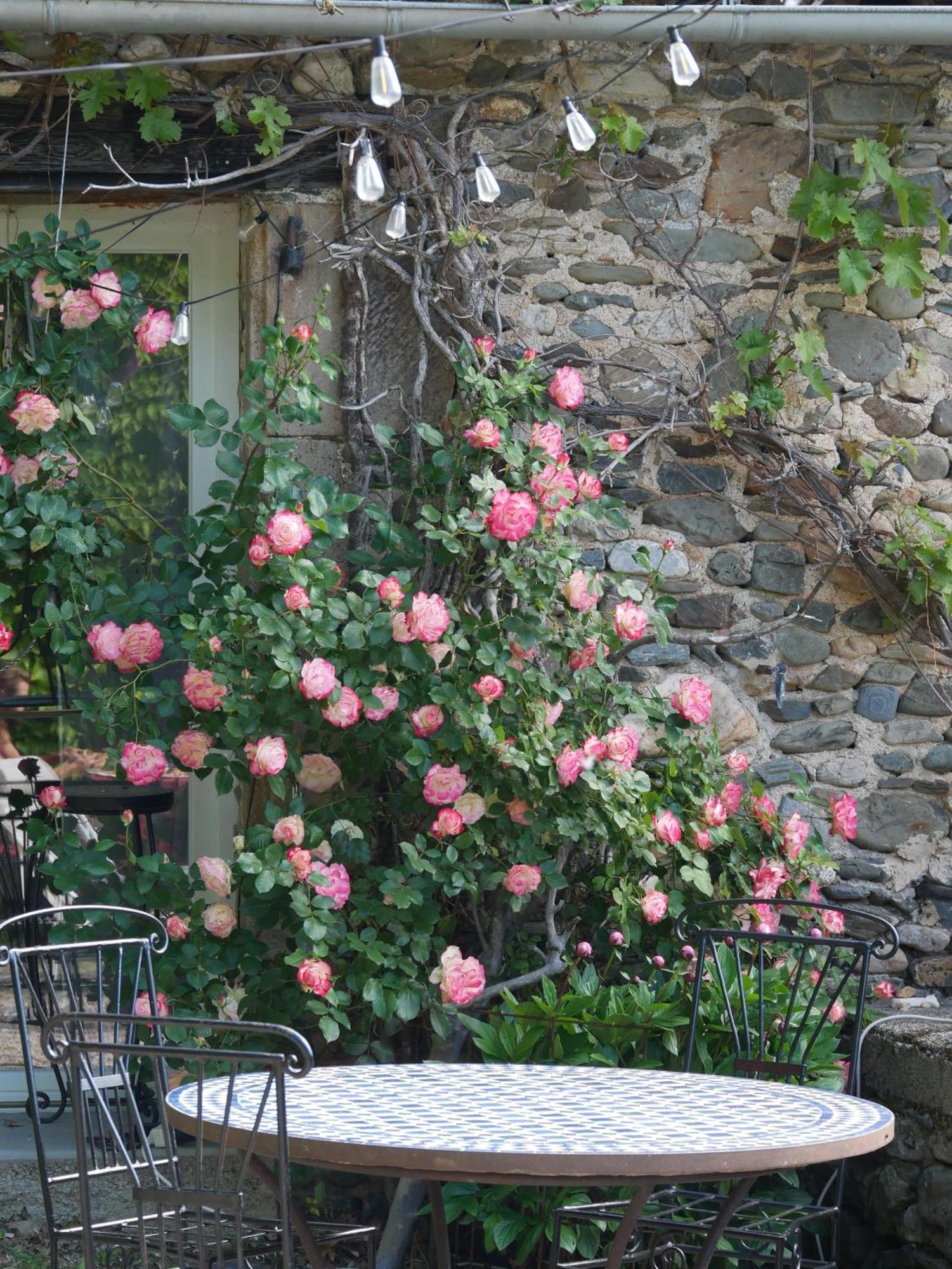 Bed and Breakfast Les Jardins De Lumiere Brusque Esterno foto
