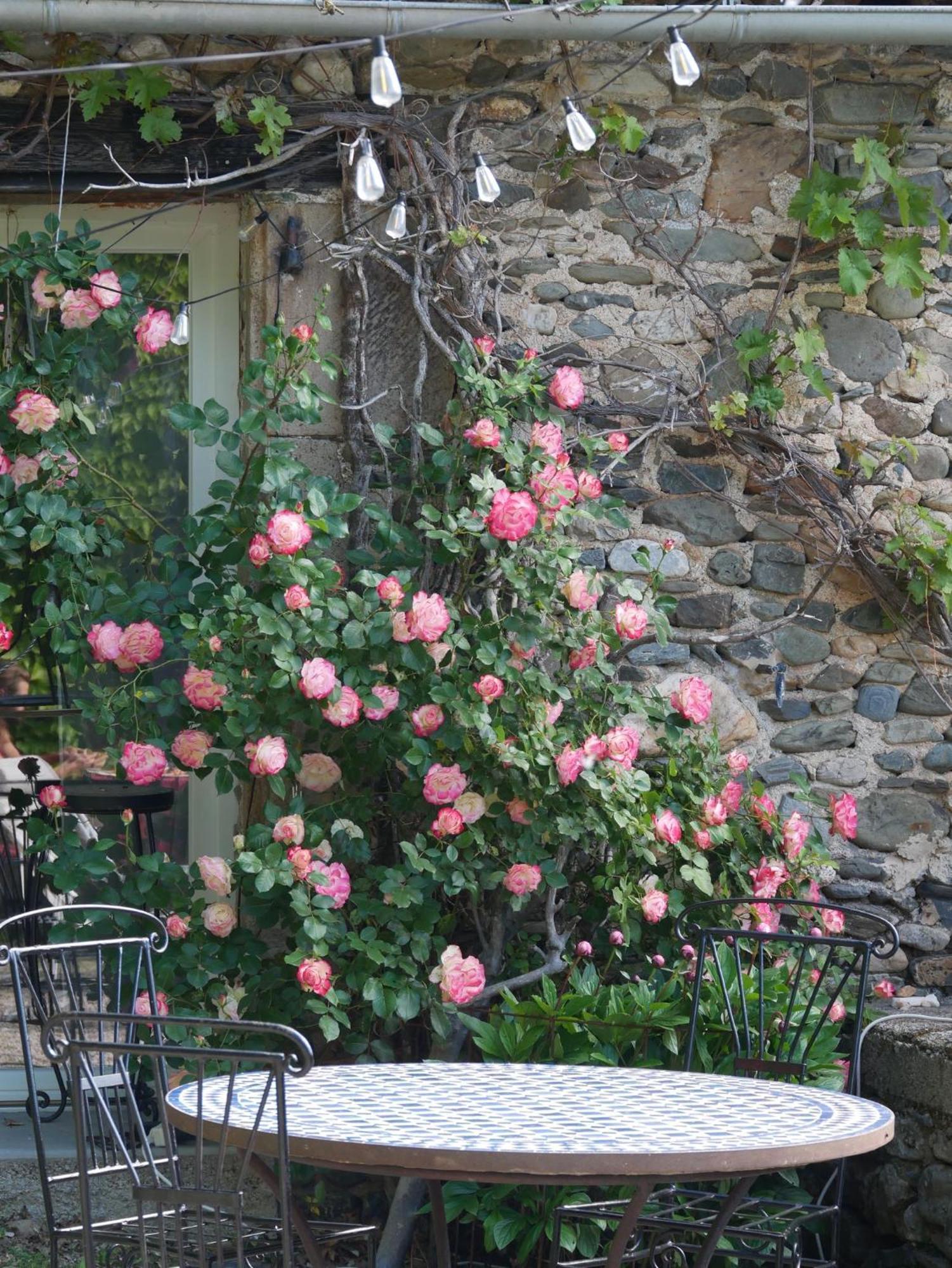 Bed and Breakfast Les Jardins De Lumiere Brusque Esterno foto